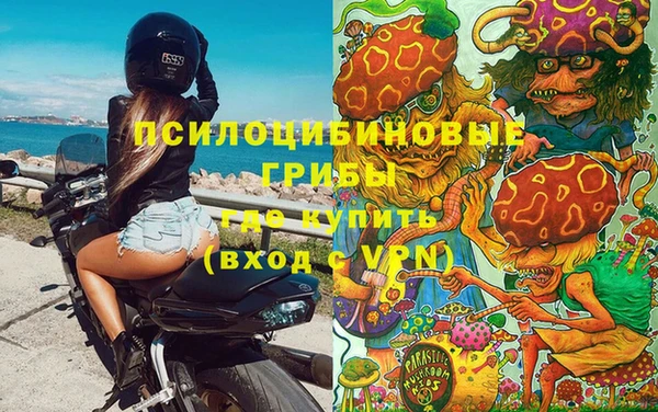 apvp Медвежьегорск