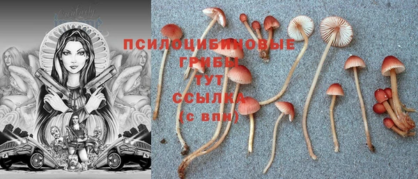 гидропоника Мегион