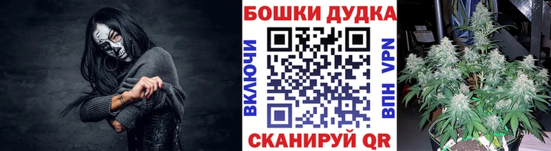 дарнет шоп  Карабаново  Канабис планчик 